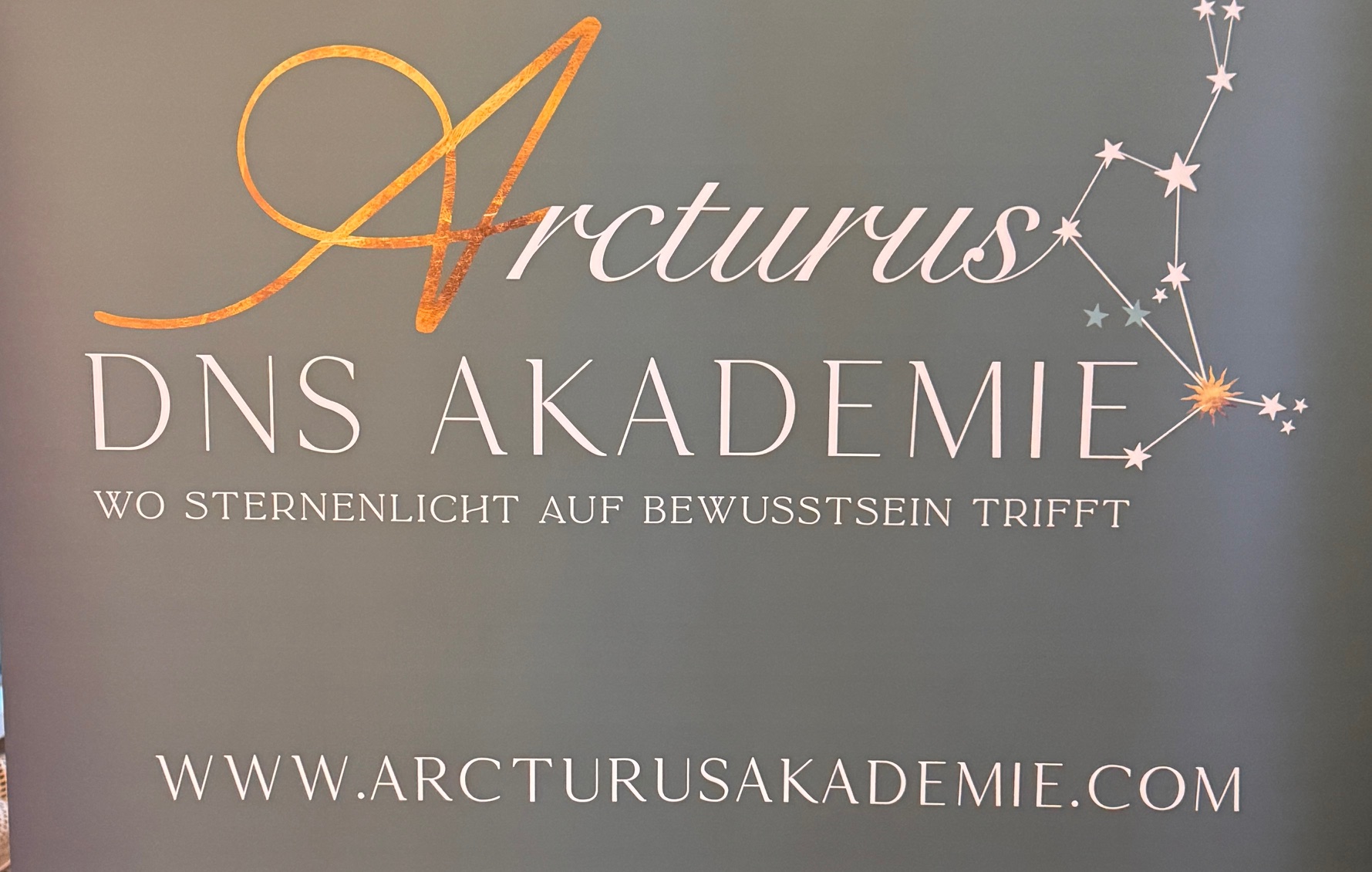 Arcturus DNS Akademie – Wo Sternenlicht auf Bewusstsein trifft